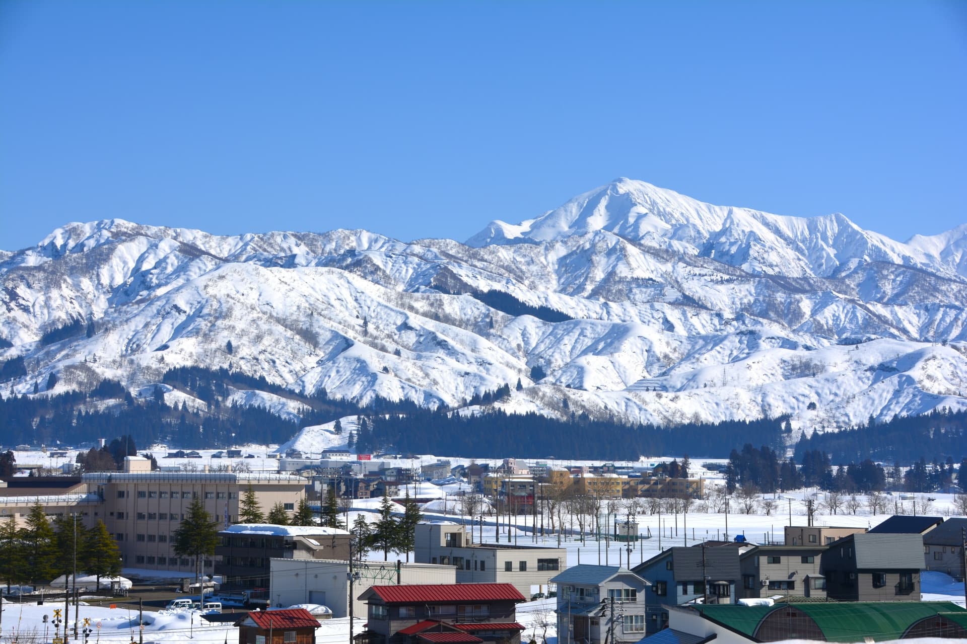 魚沼の自然